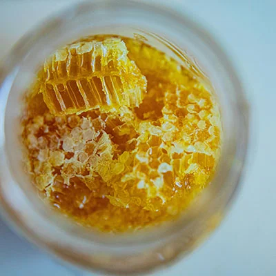 2月27日|23M/S，SSR节点/Shadowrocket节点/V2ray节点/Clash节点|免费订阅机场|每天更新免费梯子